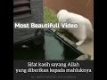 Sifat kasih sayang Allah kepada makhluk