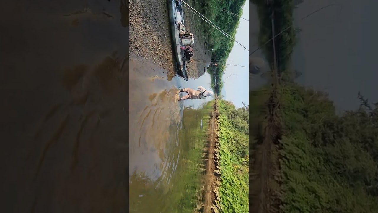 Washington salmon fishing bobber and eggs