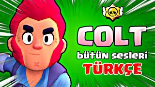 COLT BÜTÜN SESLERİ TÜRKÇE ANLAMI - Brawl Stars Resimi