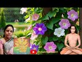 Swadhyay magical approach by Surekha mam