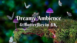 Dreamy Ambient Music + 4K Butterfly Wallpaper screenshot 2