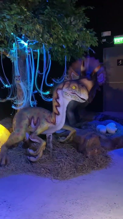 Count the dinosaur eggs