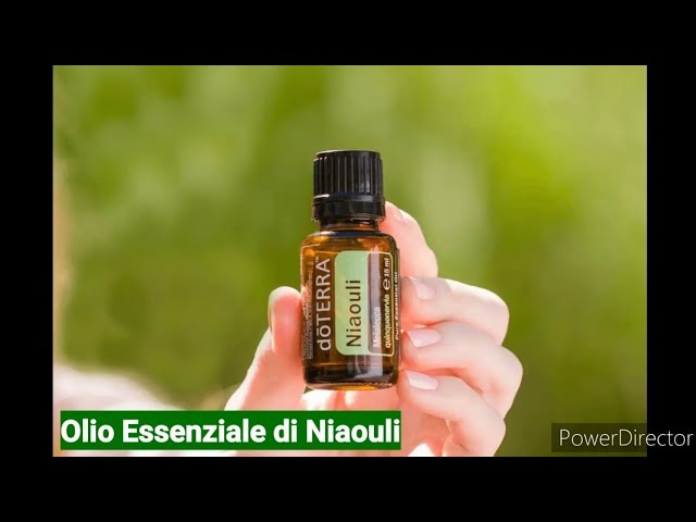 Olio Essenziale di Niaouli doTERRA - Melaleuca quinquevervia - YouTube