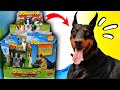 DOBERMAN GIGANTE, PASTOR ALEMAN, HUSKY SIBERIANO  | PERROS GIGANTES | ¡INCREIBLE!