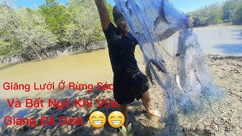 Thả Lưới Ở Rừng Sác - Fish Grid in Sác Forest - Du lịch Cần Giờ 😊🥰