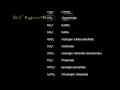 Mastering Polyatomic Ions and Their Charges in Chemistry