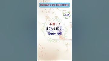 Cùng học tiếng Trung - Mỗi ngày 5 câu tiếng Trung 35 #tuvungtiengtrungtheochude  #hoctiengtrung