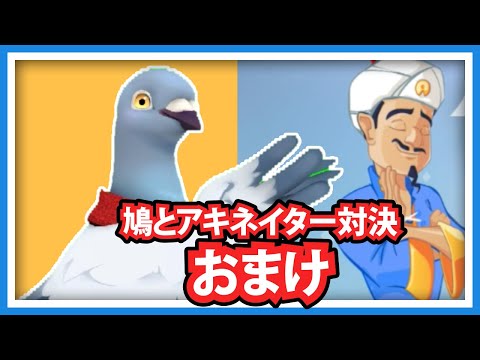 【羽鳥ぽぽぽ】ぽぽぽ対アキネイター 再戦【第251羽】