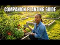 Companion Planting Guide: Which Plants Grow Best Together?