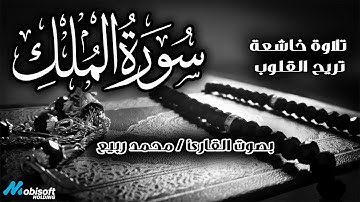 سورة الملك تلاوة خاشعة | بصوت القارئ محمد ربيع
