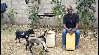 #VK23 Denizo Rock Tamba: La Suno (muziko en Esperanto)
