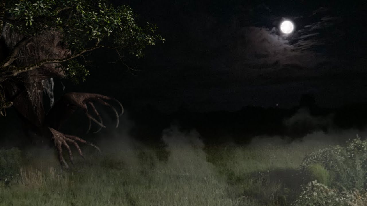 VI O VELHO COM PERNAS VIRADAS NO SERTÃO DO CEARÁ — ARRIEGUA, FOI CABULOSO