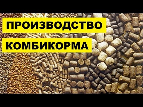 Производство Комбикорма в домашних условиях как бизнес идея