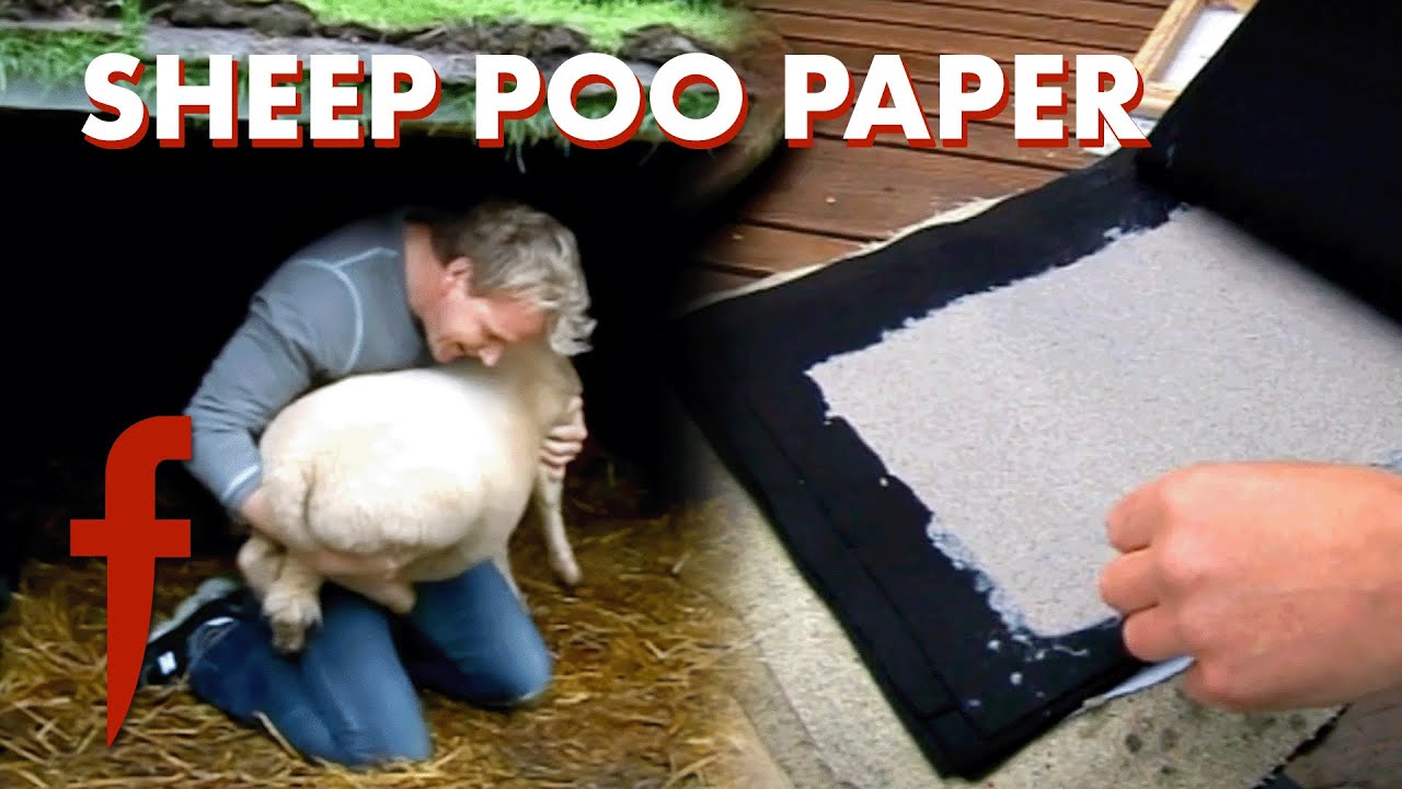 Resourceful Gordon: Crafting Paper From Poo 💩 | The F Word