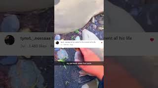 Bro Saw His Chance And Took It