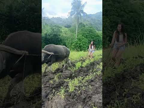 ARARO SA BUKID | TITA MAYANG
