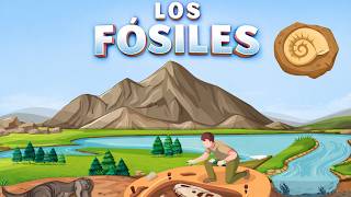 Los fósiles y su importancia (Video Educativo Animado)