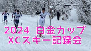 クロスカントリースキー mqdefault.jpg
