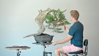 Rebuilding a 300-Year-Old Bonsai | TREE FILES - Episode 1