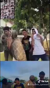 Story WA - Parodi lucu anjai seleb - sangee