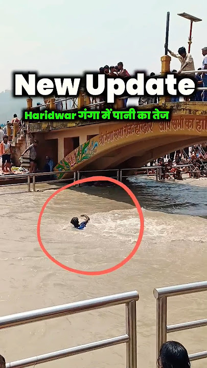 Haridwar Water Update || हरिद्वार पानी कितना