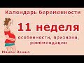 11 неделя беременности: рекомендации, симптомы, изменения