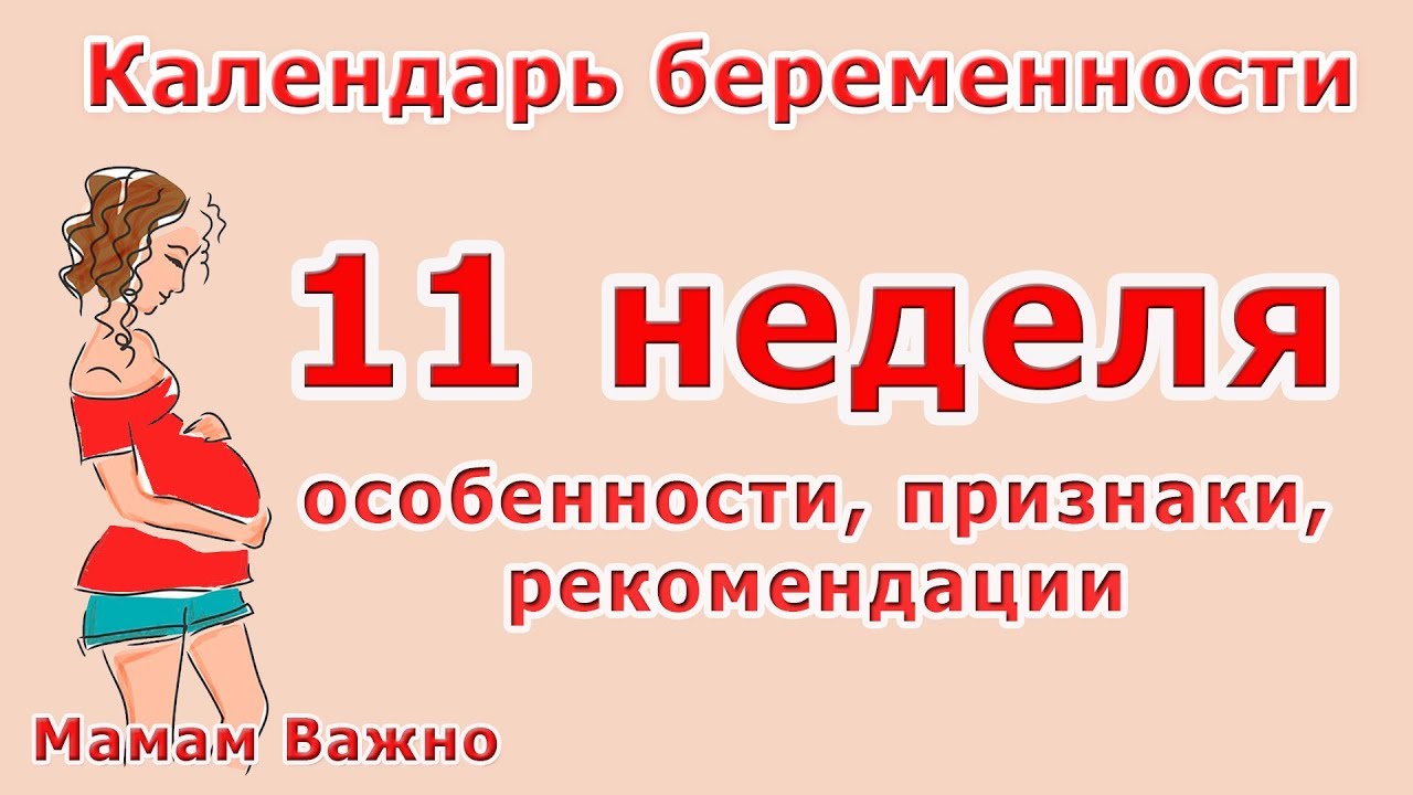 11 неделя беременности: что происходит, признаки и ощущения 11 неделя беременности: что происходит, признаки и ощущения