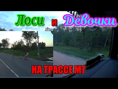Проститутки и лоси на обочинах трассы М7. Ужасные разгрузки в Нижнем Новгороде. Дальнобой по России