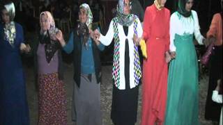 Grup Özçelik Kürtçe halay Aman mırım mırım Resimi