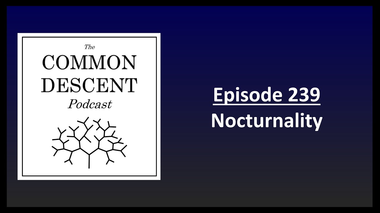 Episode 239 - Nocturnality
