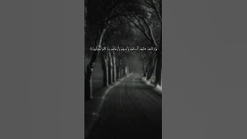 الشيخ محمد أيوب | سورة النور