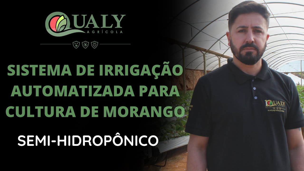 SISTEMA DE IRRIGAÇÃO AUTOMATIZADA PARA CULTURA DE MORANGO SEMI HIDROPÔNICO - QUALY AGRÍCOLA