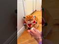 She Found a Hamster in Garden 😳🌿 |#shortsfeed #trending
