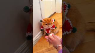 She Found a Hamster in Garden 😳🌿 |#shortsfeed #trending