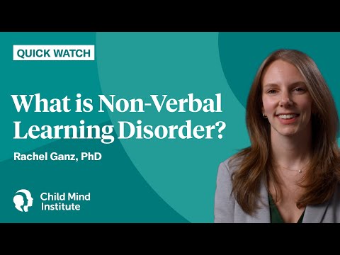 What is Non-Verbal