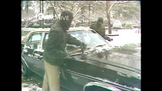Wavy Archive 1983 February Snow