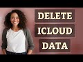 How Do I Delete App Data from iCloud to Free Space?
