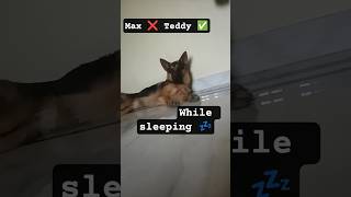 max durning #💤💤💤 #sleep ❤️❤️q