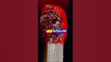 microscope satisfying video : #zoom #macro #macrovideo #asmr #macrofying #microscope #satisfying #ft