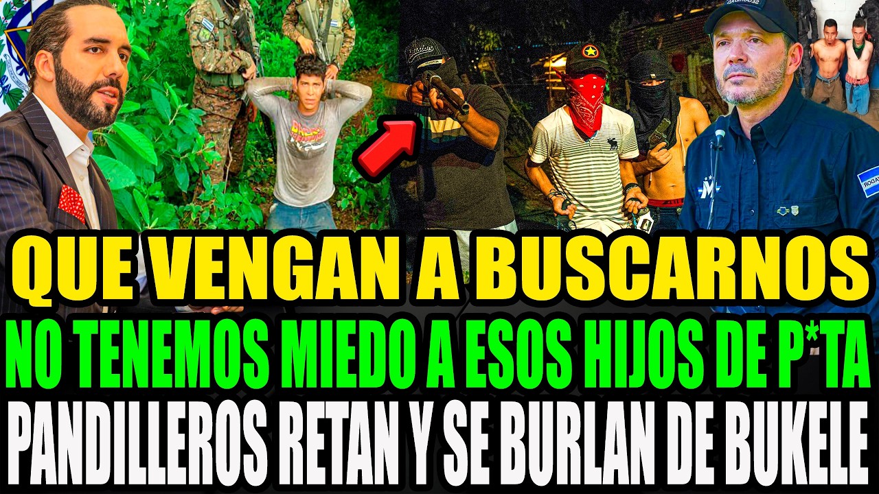 DIOS MIO ARRESTO BRUTAL🚨 P4NDILLERO RIFÓ LA MARA Y AHORA LE SUPLICA POR SU LIBERTAD A BUKELE.