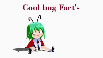 Cool Bug Fact