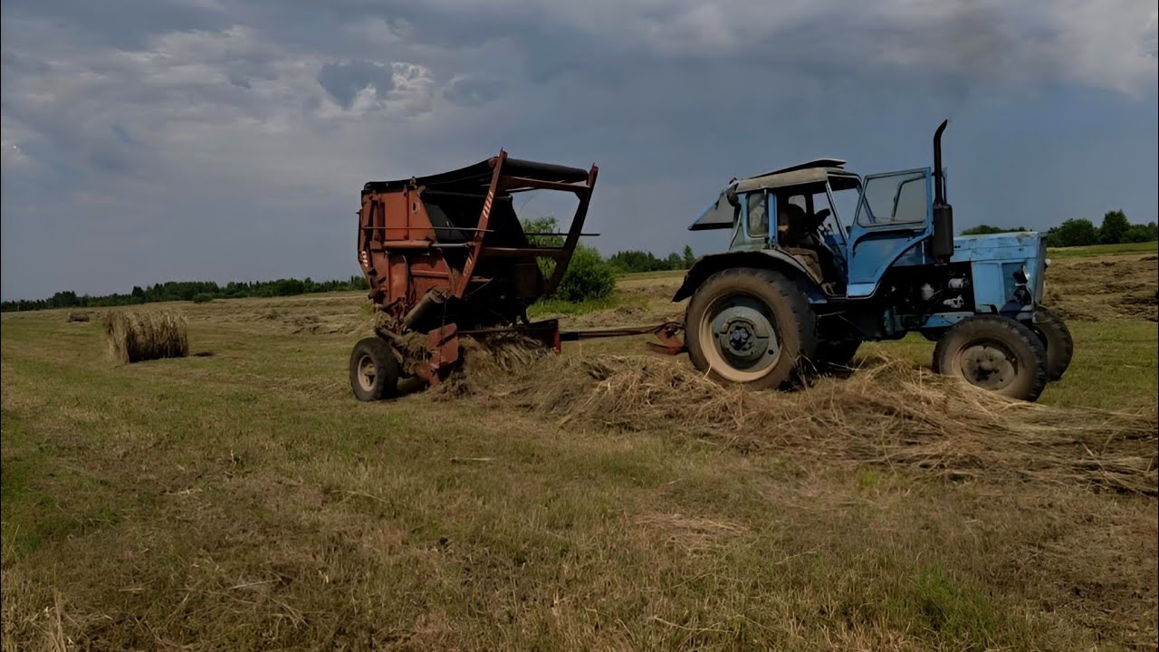 Нервный сенокос 2025