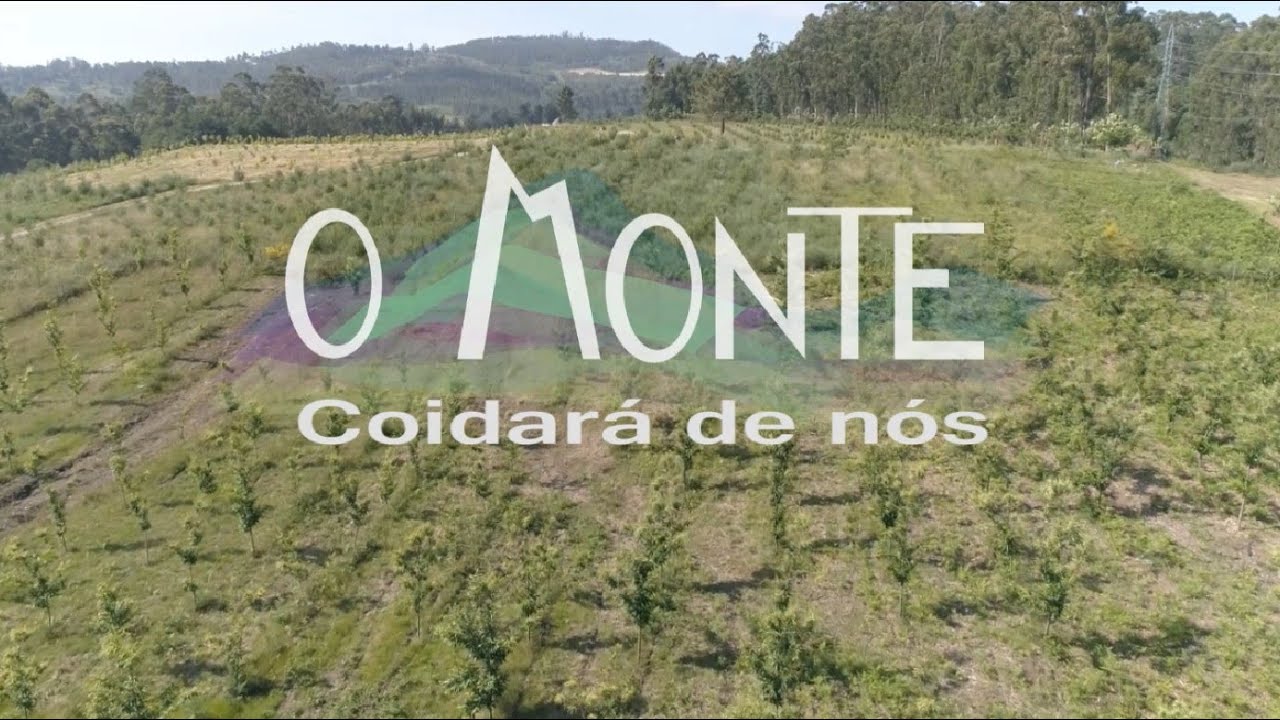 O MONTE COIDARÁ DE NÓS