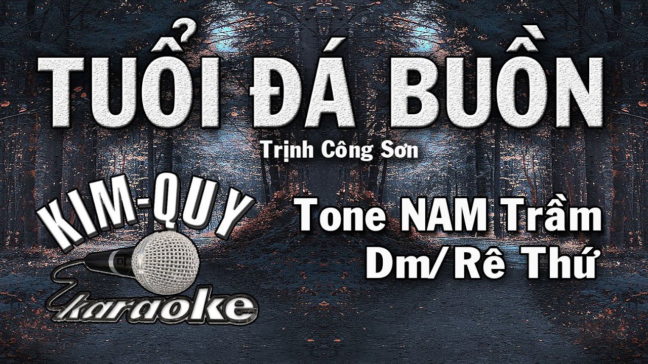 TUỔI ĐÁ BUỒN - KARAOKE - Tone NAM Trầm ( Dm/Rê Thứ )