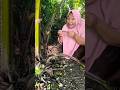 ini buah apa #funny #subscribe #comedy #trending #shorts