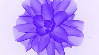 Logo Sting Retreat Camps