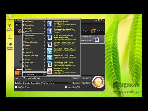 How to solve can't recognise MP4 files for Plex Media Manager