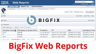 BigFix Web Reports | How to Create Custom Reports | Explained screenshot 4