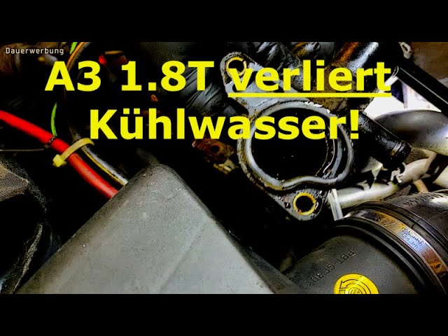 Audi A3 1.8T verliert KühlwasserWasserflansch undicht! Neues Thermostat.  #inkontinent 