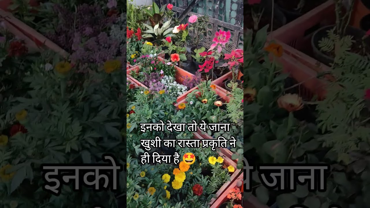 🌿बहुत खतरनाक नशा है🌿